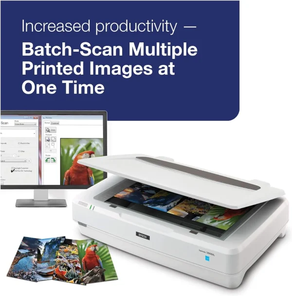 ¡Oferta! Epson Expression 13000XL Escáner de archivos B11B257201 - Imagen 5
