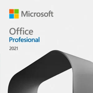 Microsoft Office Professional 2021 269-17194